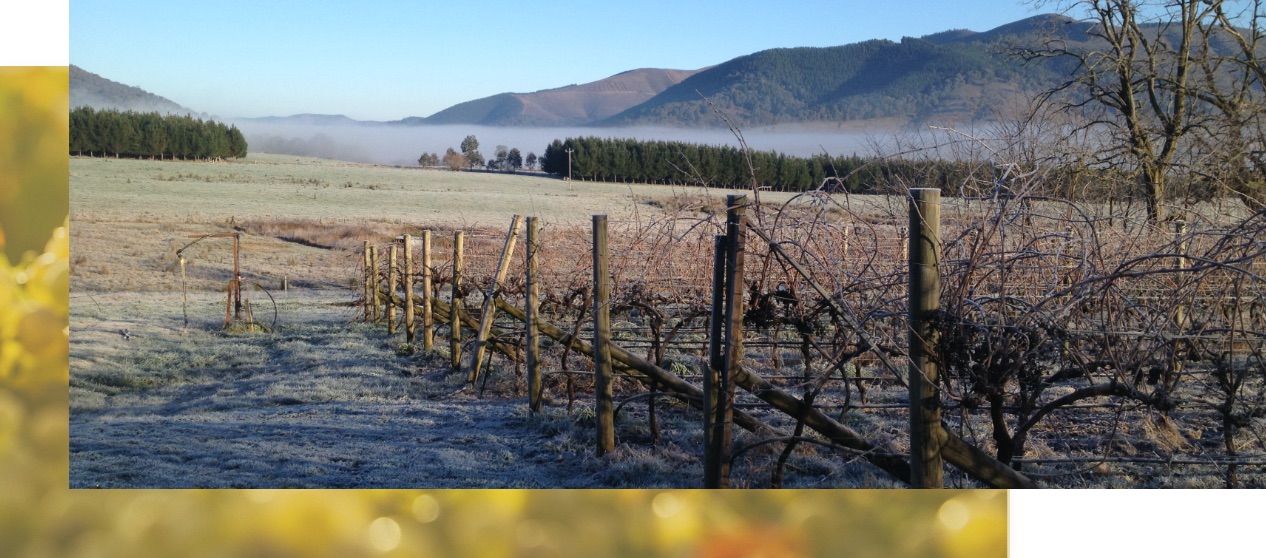Alpine Valley Wine Region
